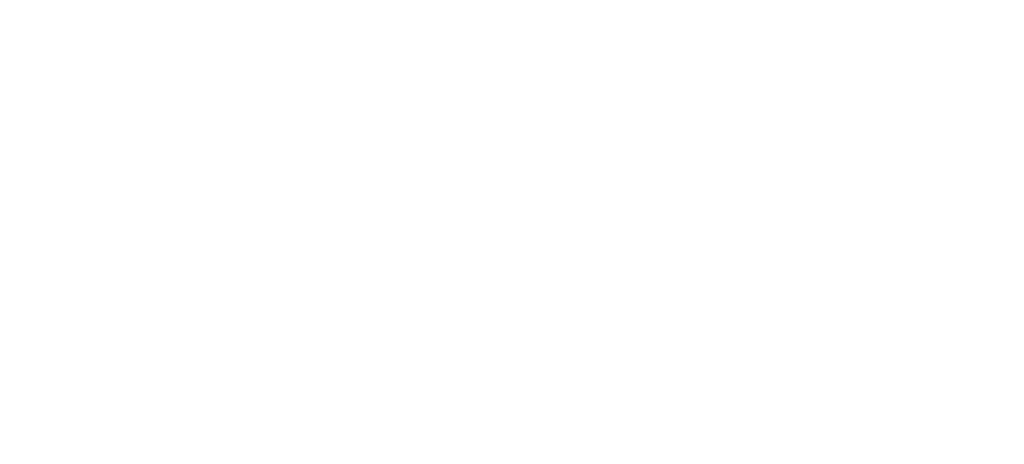 Logo FIME